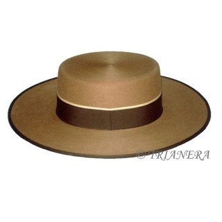 Superior (Camel)